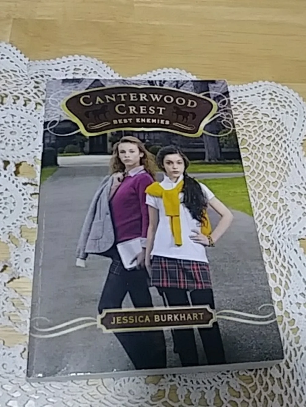 Middle Grade Kid's book bundle -  Canterwood Crest by Jessica Burkhart